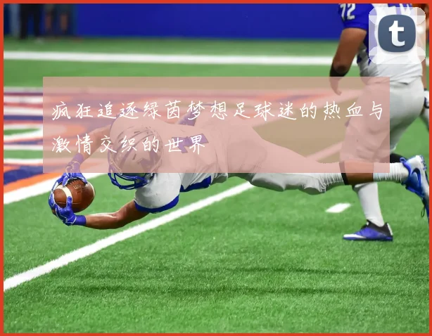 疯狂追逐绿茵梦想足球迷的热血与激情交织的世界