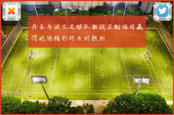 丹麦与波兰足球队激战正酣谁将赢得这场精彩对决的胜利