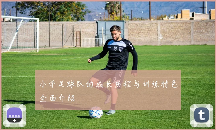 小学足球队的成长历程与训练特色全面介绍