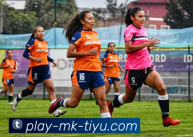 App Interface Preview