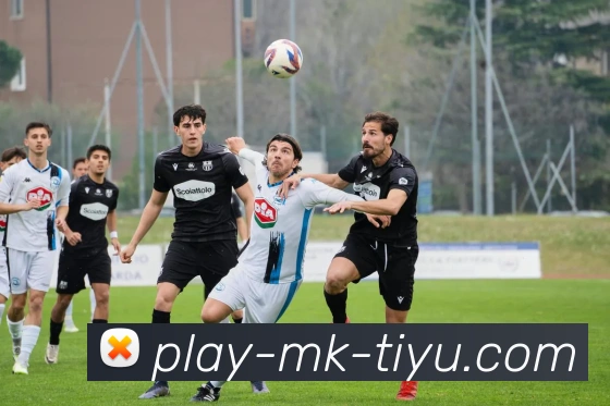 MK体育官方网站APP 封面图